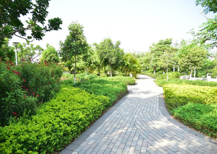 Walking Areas at Ensaara Metropark, Nagpur